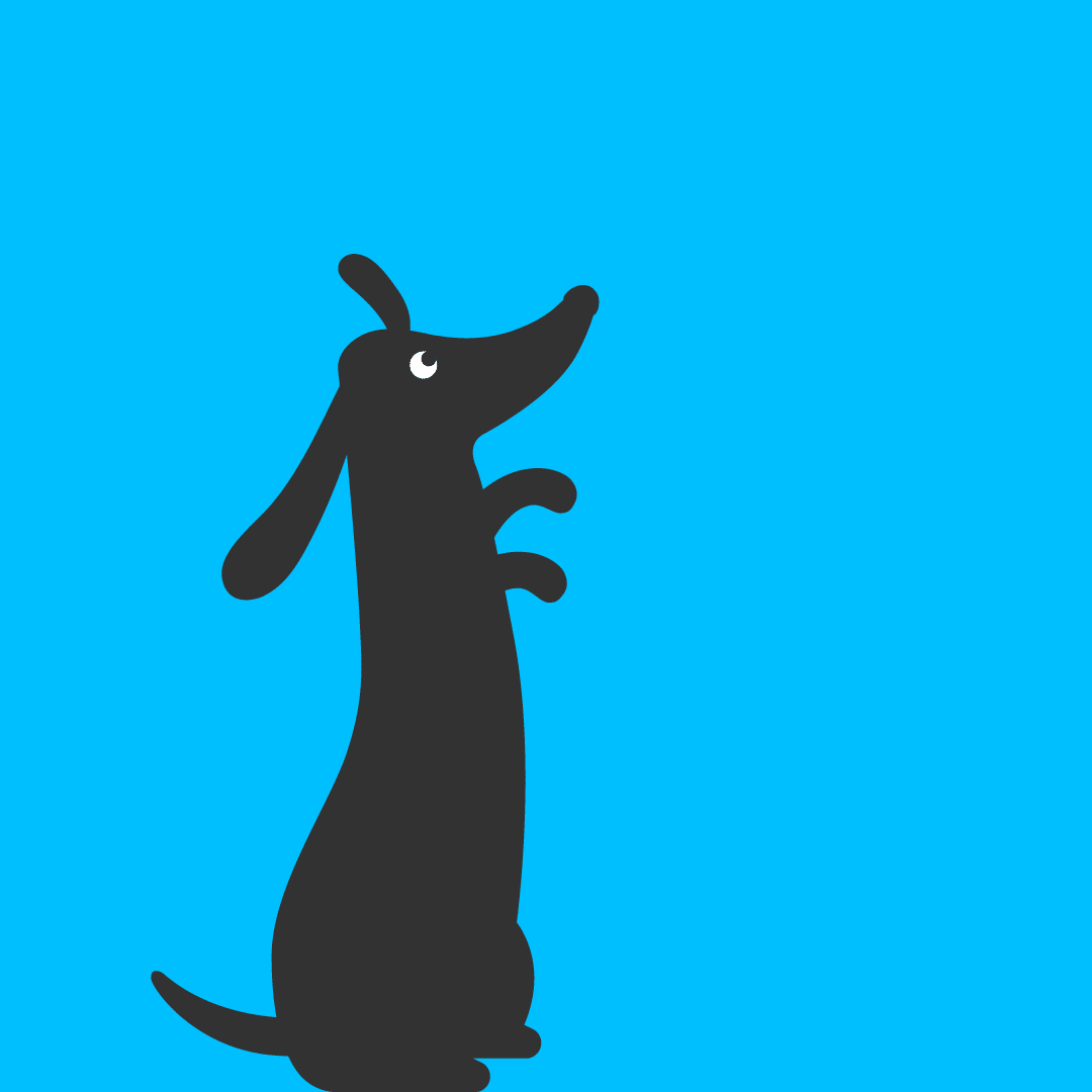 AlphaPets_Dogs_1080x1080px-05