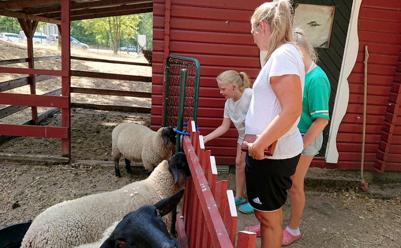 En liten campingsväng till