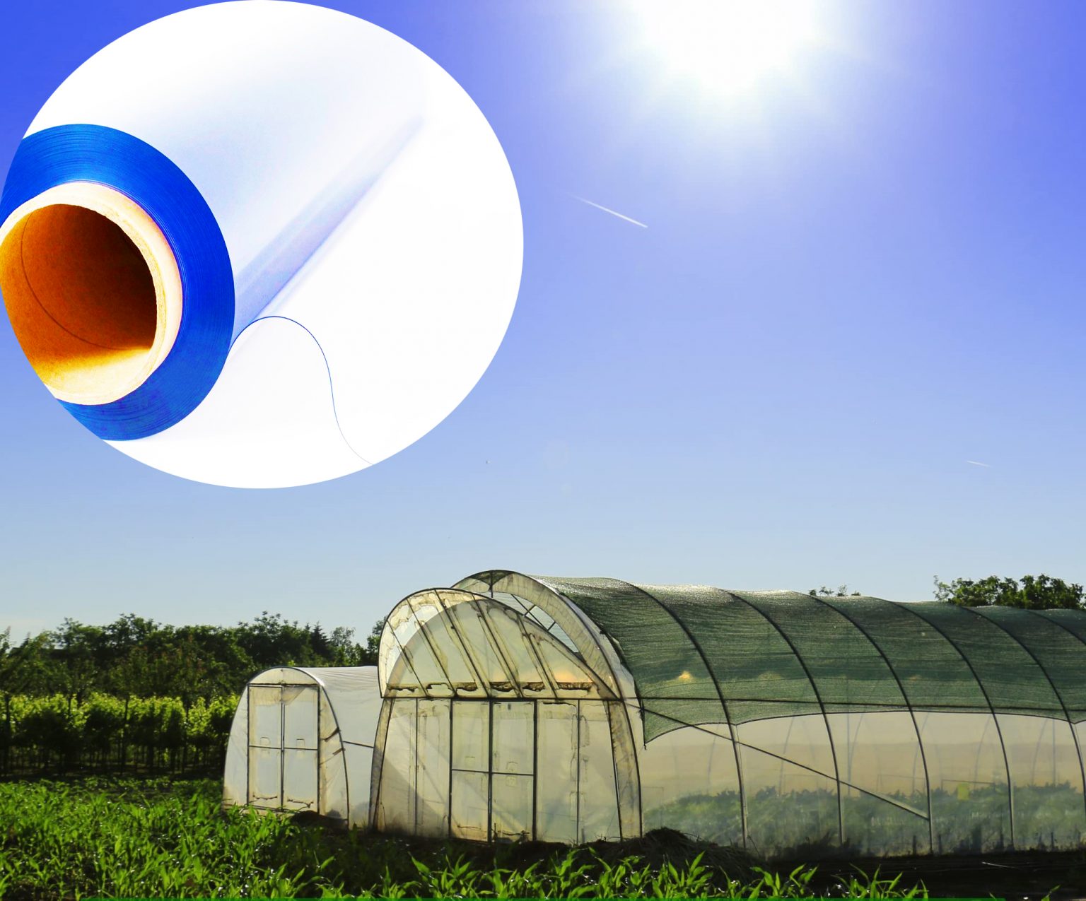 Polymers additives in Agriculture - Elpolymer , Global skills