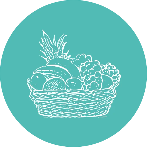 programme alimentation saine