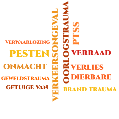 diverse trauma behandelingen