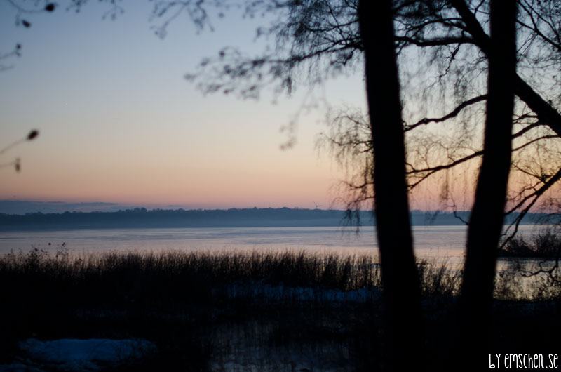 En båt och 40 bilder senare