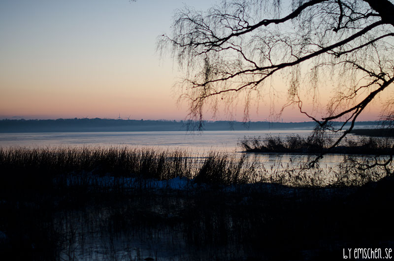 En båt och 40 bilder senare