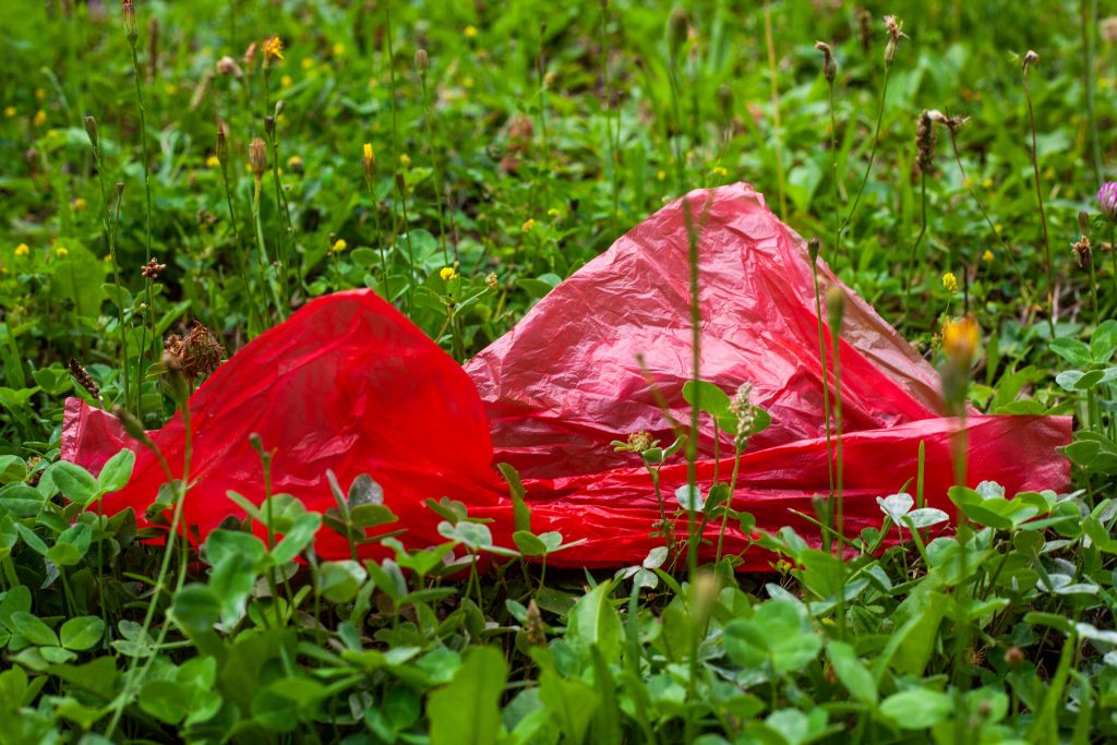 Mehrwegalternative bei Einwegkunststofflebensmittelverpackungen und Einweggetränkebechern VerpackG