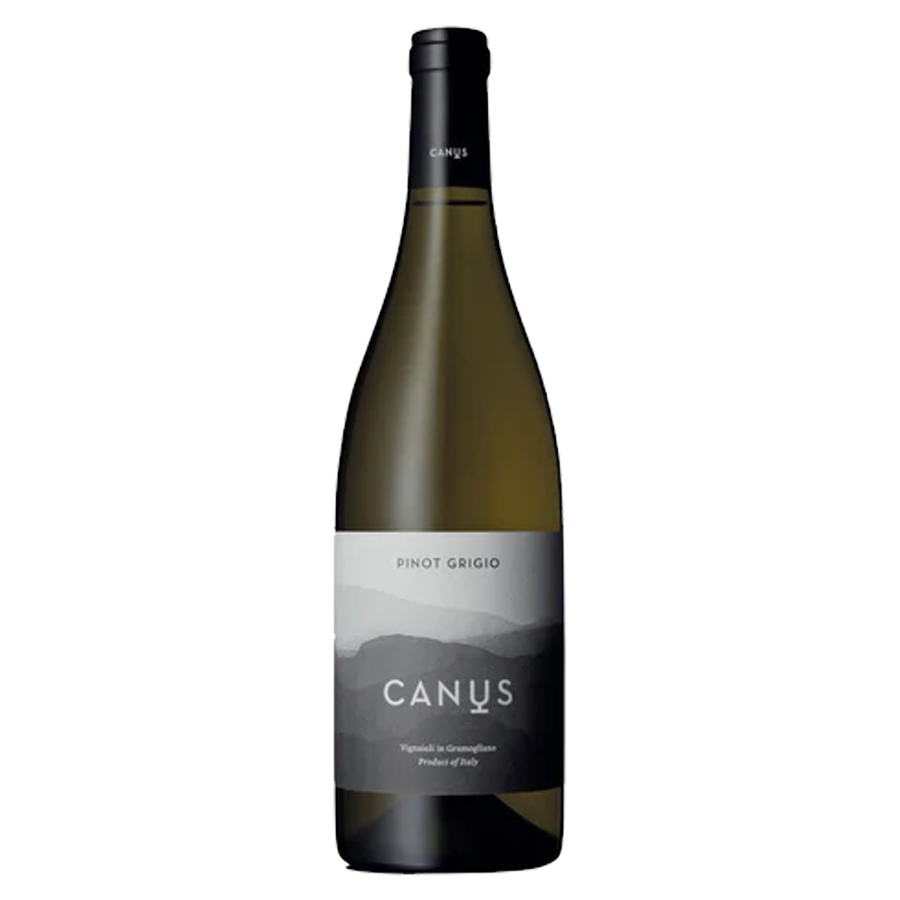 Pinot Grigio DOC 2023