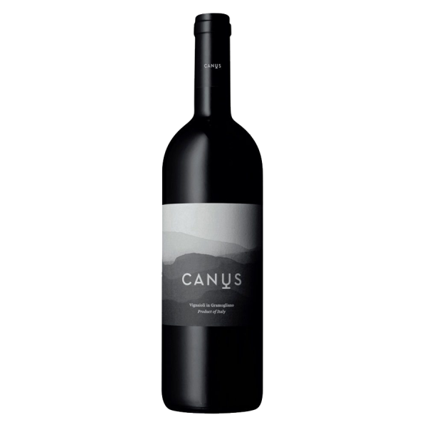 Rosso Mezzosecolo DOC 2018