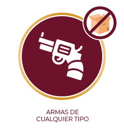 Articulo restringido armas de cualquier tipo