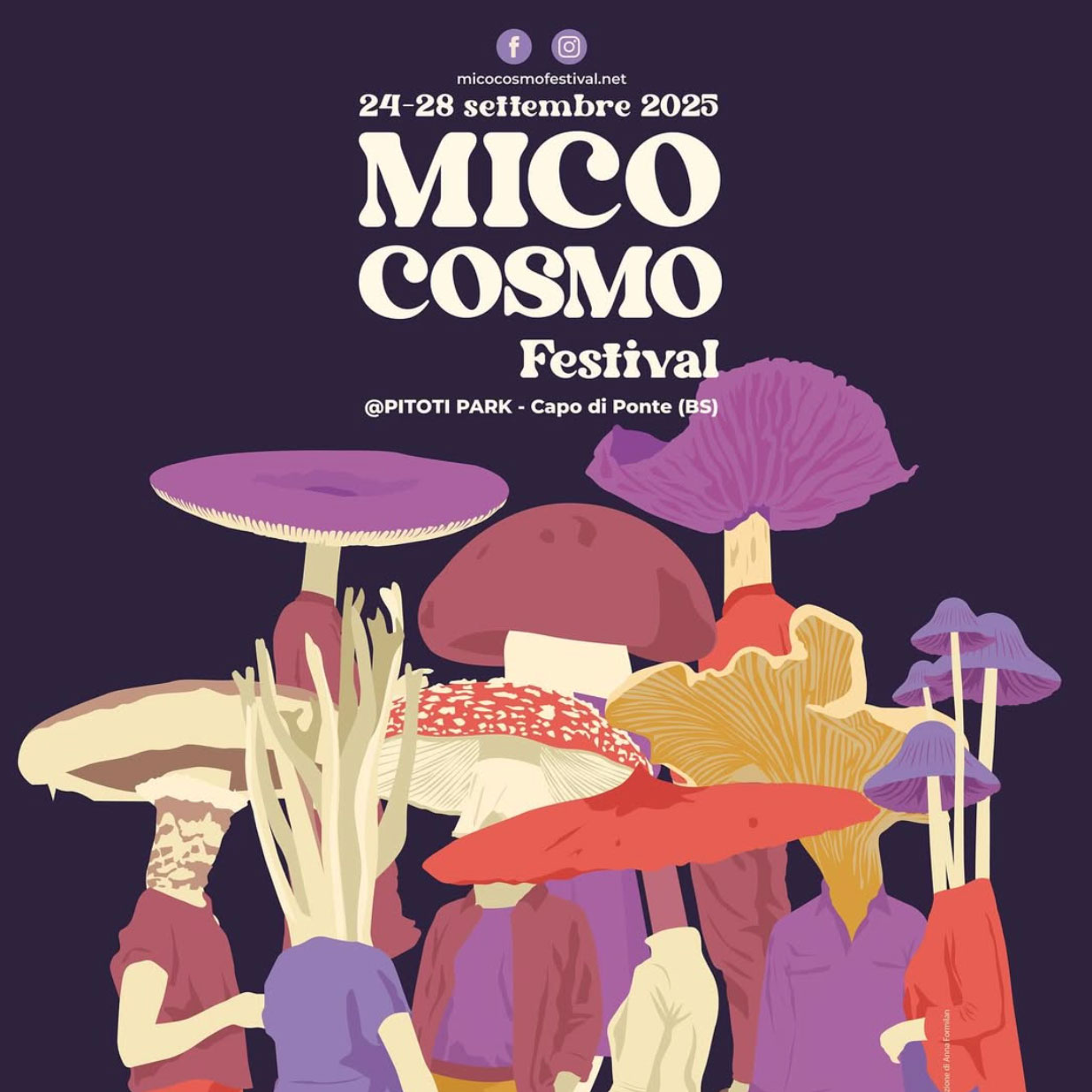 Mico Cosmo Festival