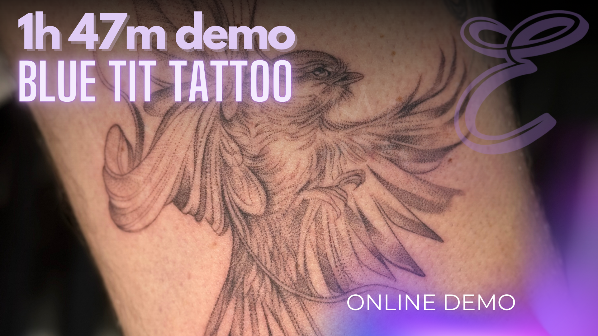 Blue Tit DEMO