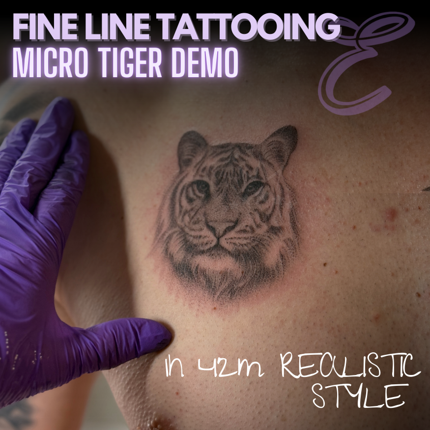 Micro Tiger | Demo