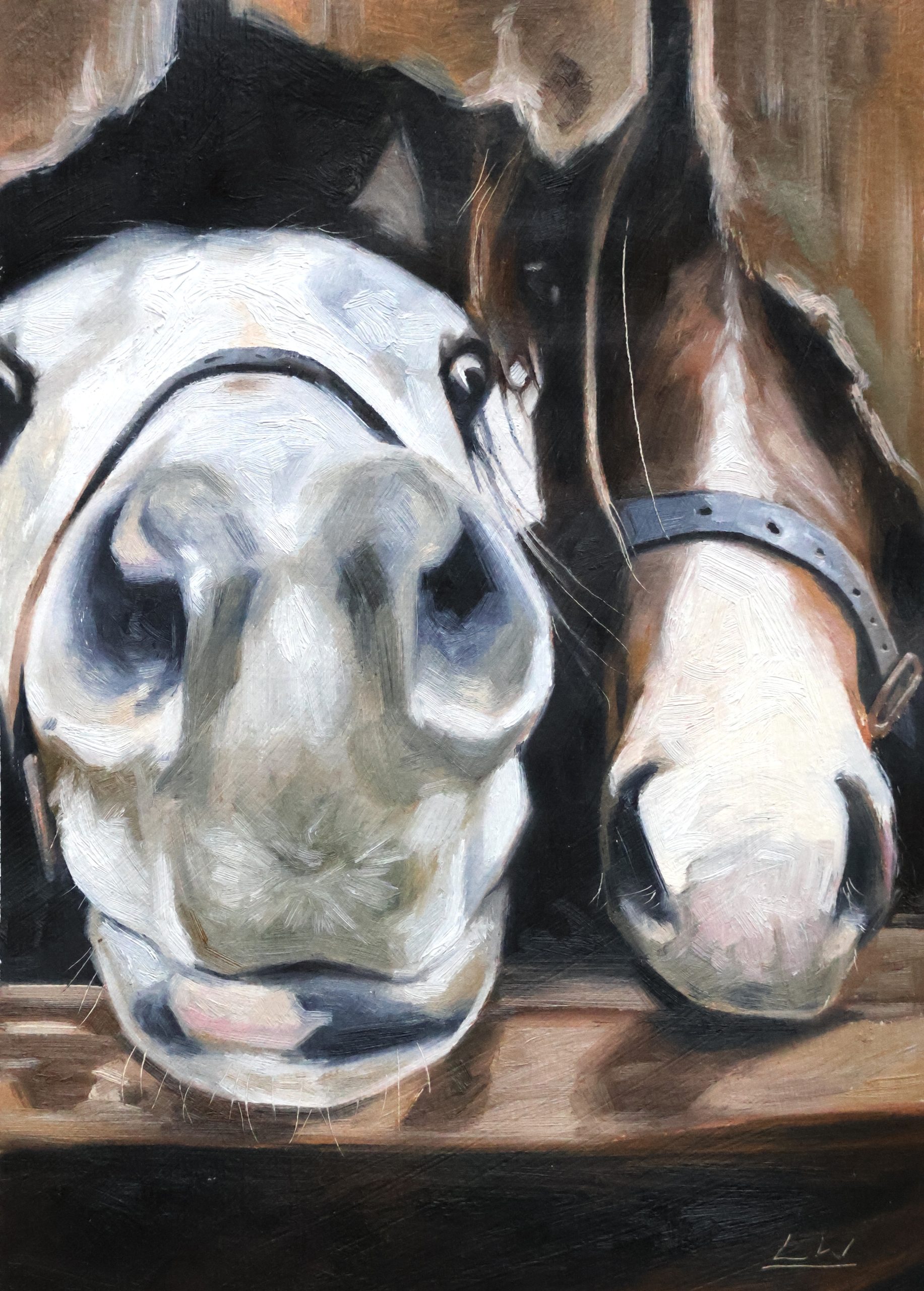 Godolphin Foals – Fine Art A4 Print