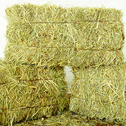 Small hay bale (DM* > 85%)