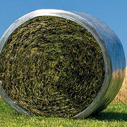 Plastic-wrapped silage (DM* < 70%)