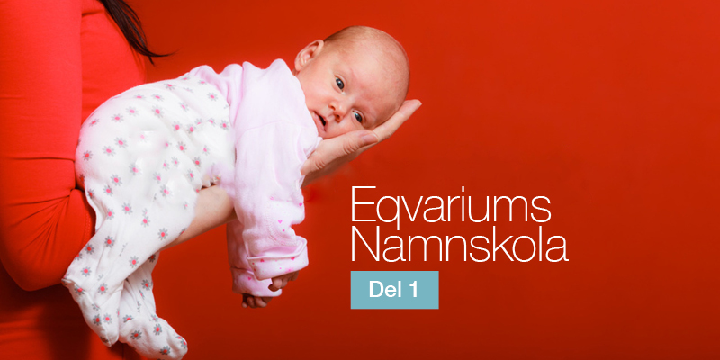 Eqvariums namnskola del 1