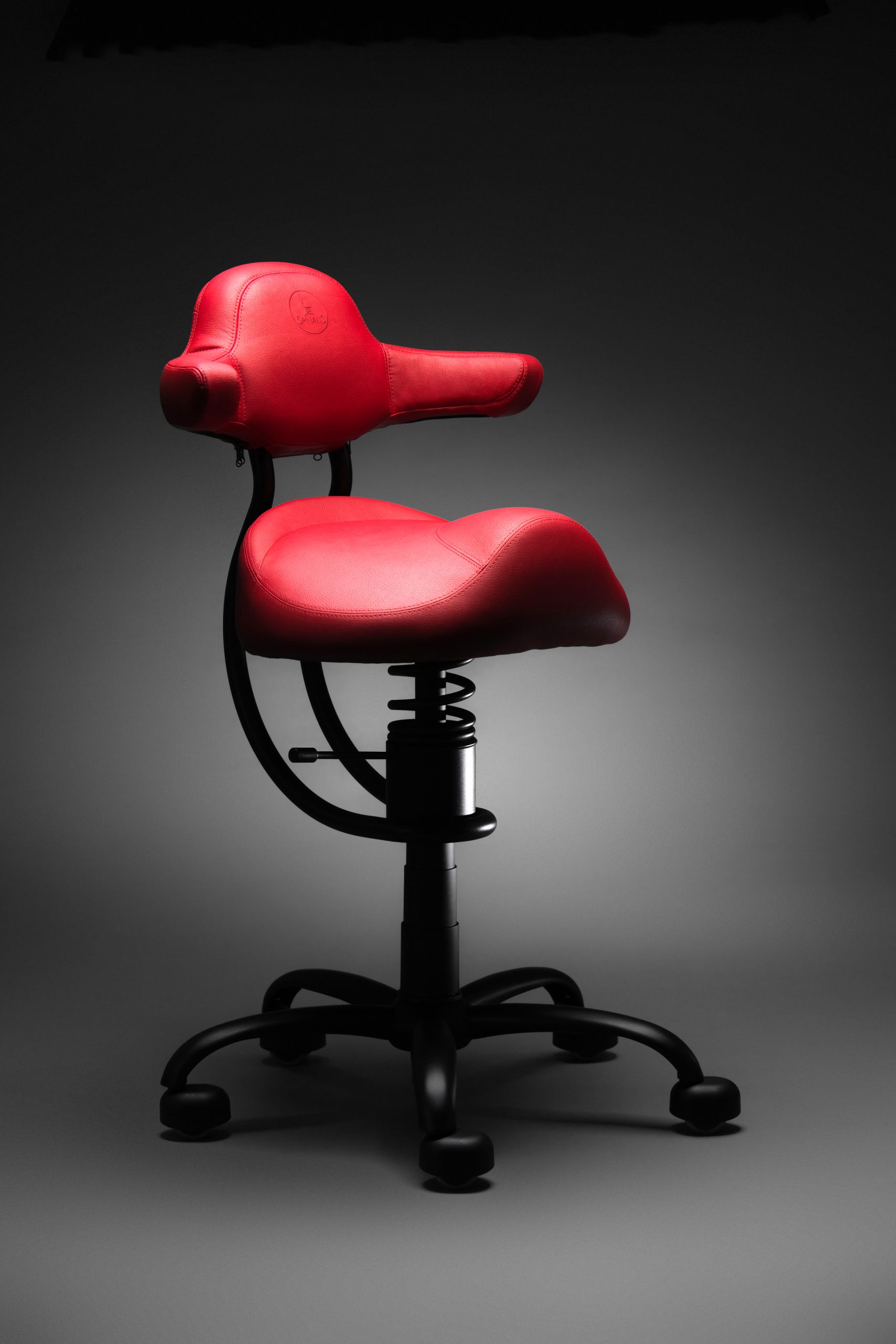 De Spinalis Rodeo ergonomische stoel is een stoel uit HET ERGONOMISCH LAB VAN RAMAN BV.