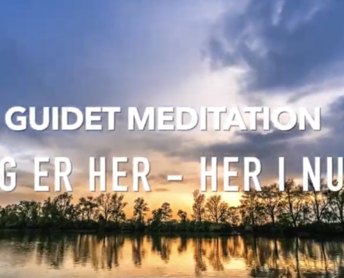 meditation guidet