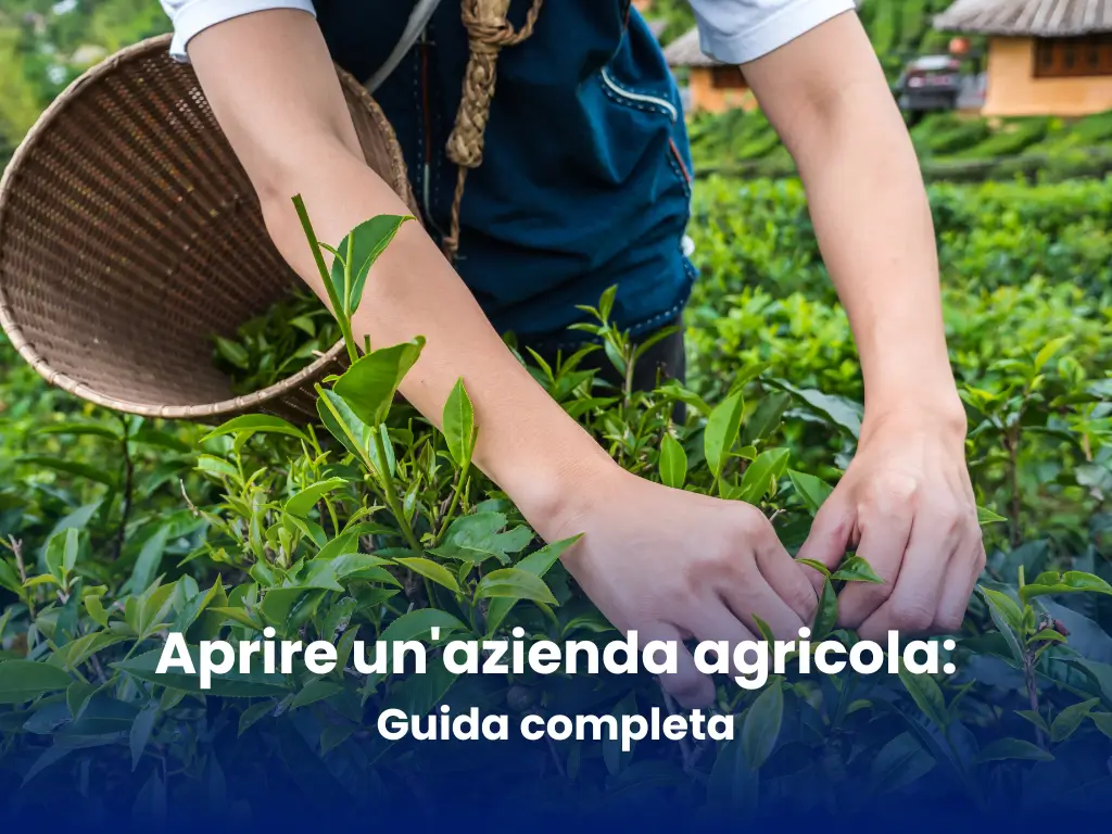 Aprire un'azienda agricola_ Guida completa