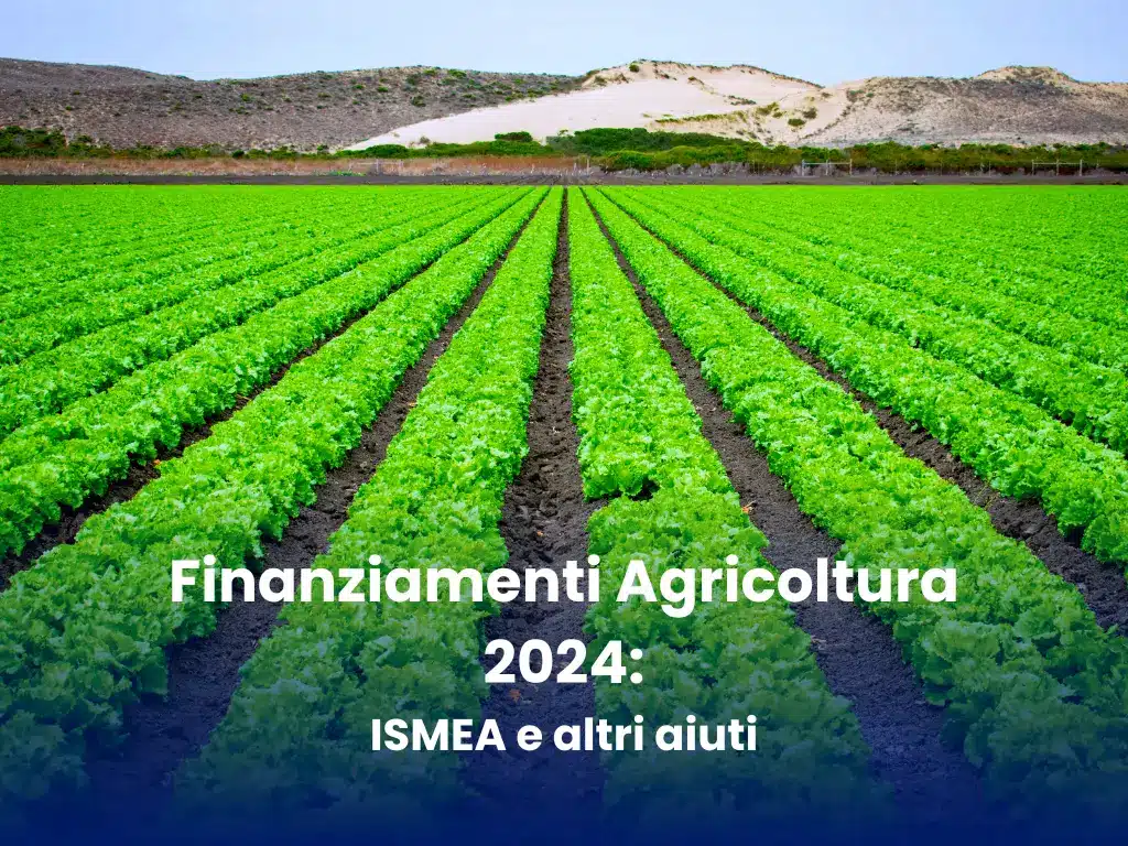 Finanziamenti Agricoltura 2024_ ISMEA e altri aiuti