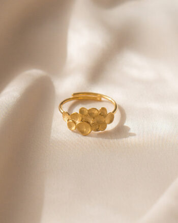 Adrianna – Guld ring