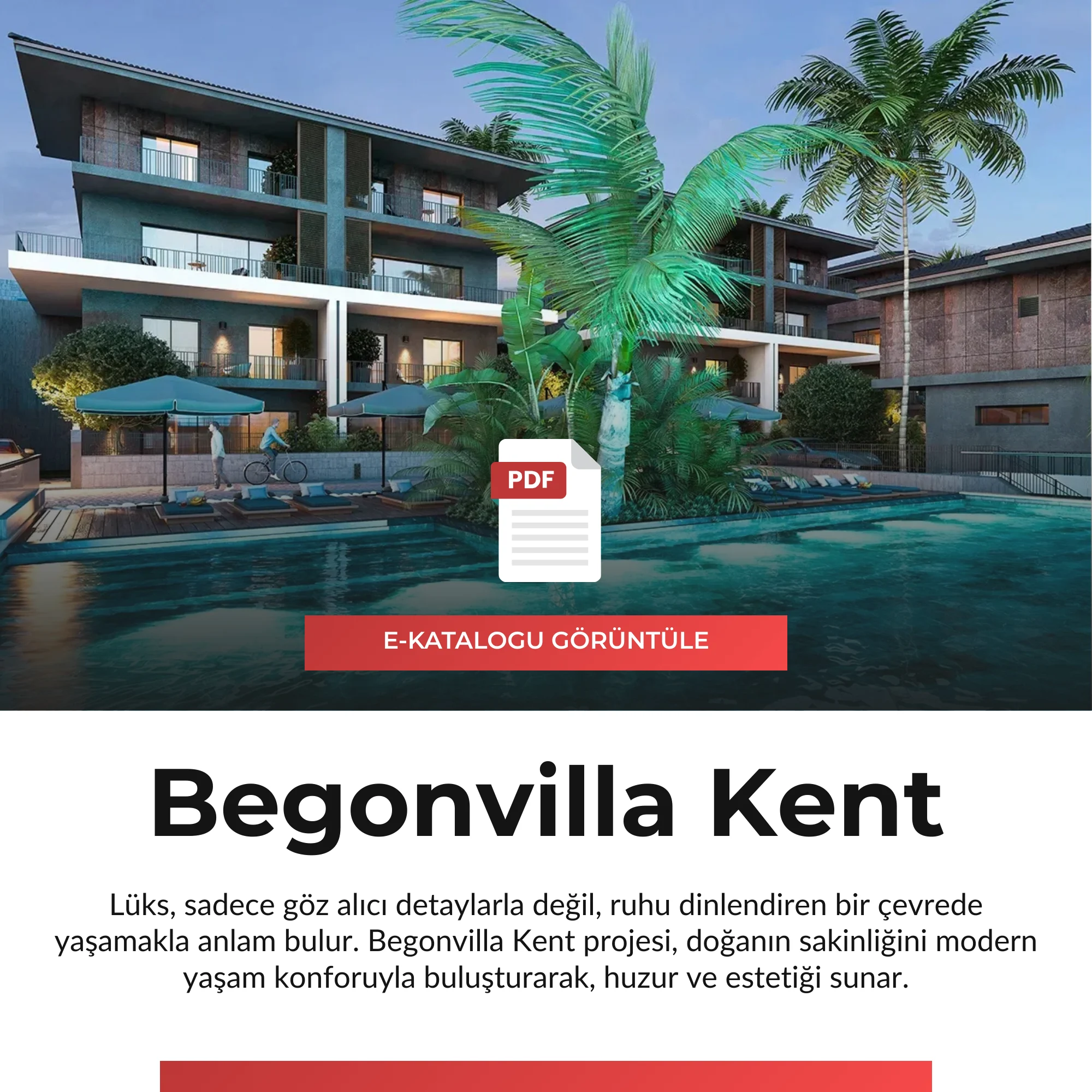 Begonvilla Kent