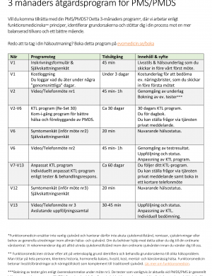 3 månaders program för PMS och PMDS