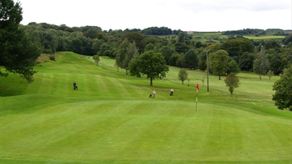 PIctue shows a golf fairway with golfers walking with their trolleys and golf clubs.