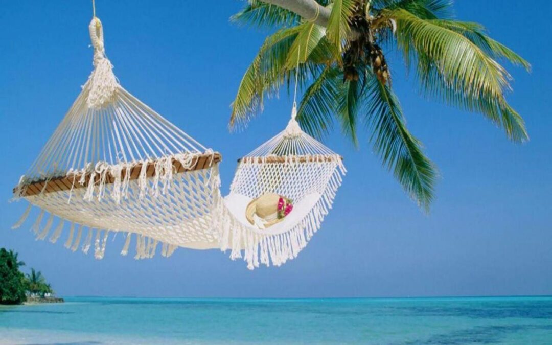 Nyhedsbrev sommer 2019