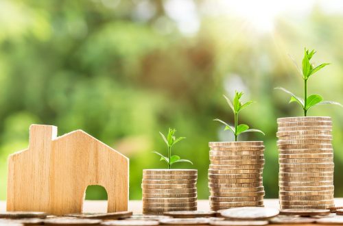 Découvrez dans cet article quel est l'investissement immobilier le plus rentable