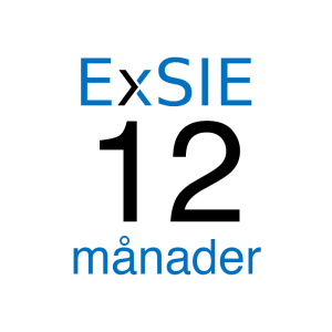 ExSIE 12 månader