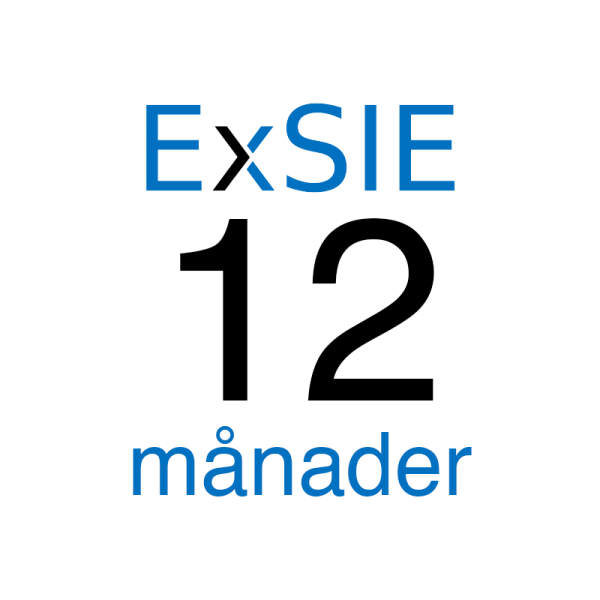 ExSIE 12 mån