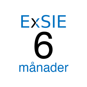 ExSIE 6 månader