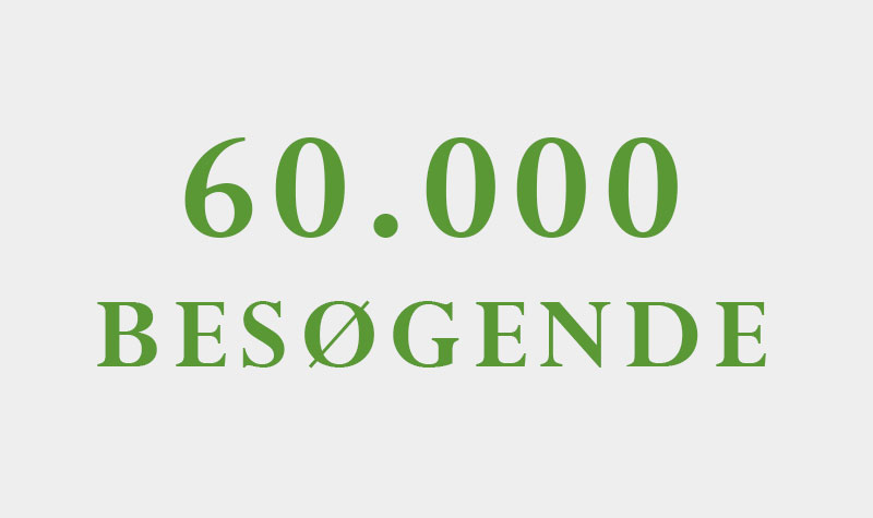 60.000 besøgende på 6 måneder