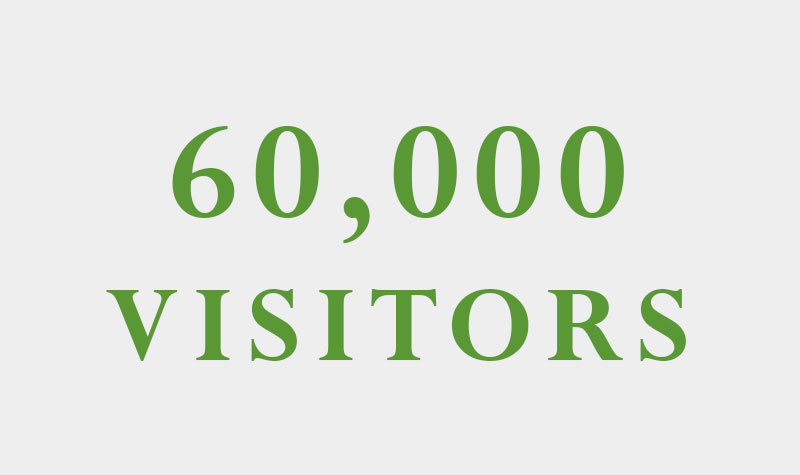 60,000 visitors in 6 months