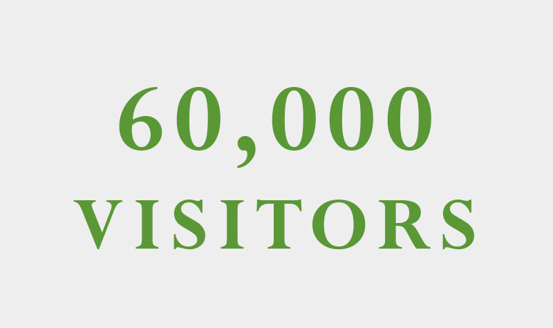 Visitors_webside