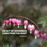 An act of goodness