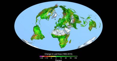 Jordens vegetasjon øker