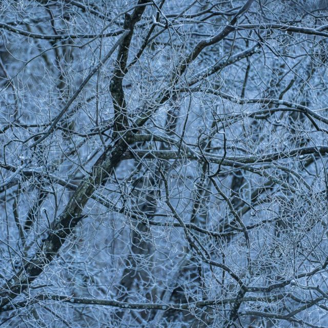 16012021-16012021-_MFA9925-Förbättrat-BR