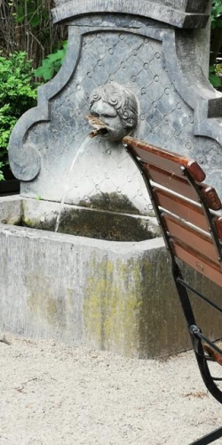 En tørstig fugl i Tiergarten