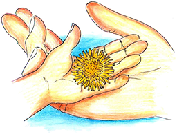 icon-hand