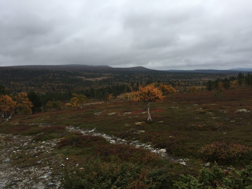 Fjället i höstskrud