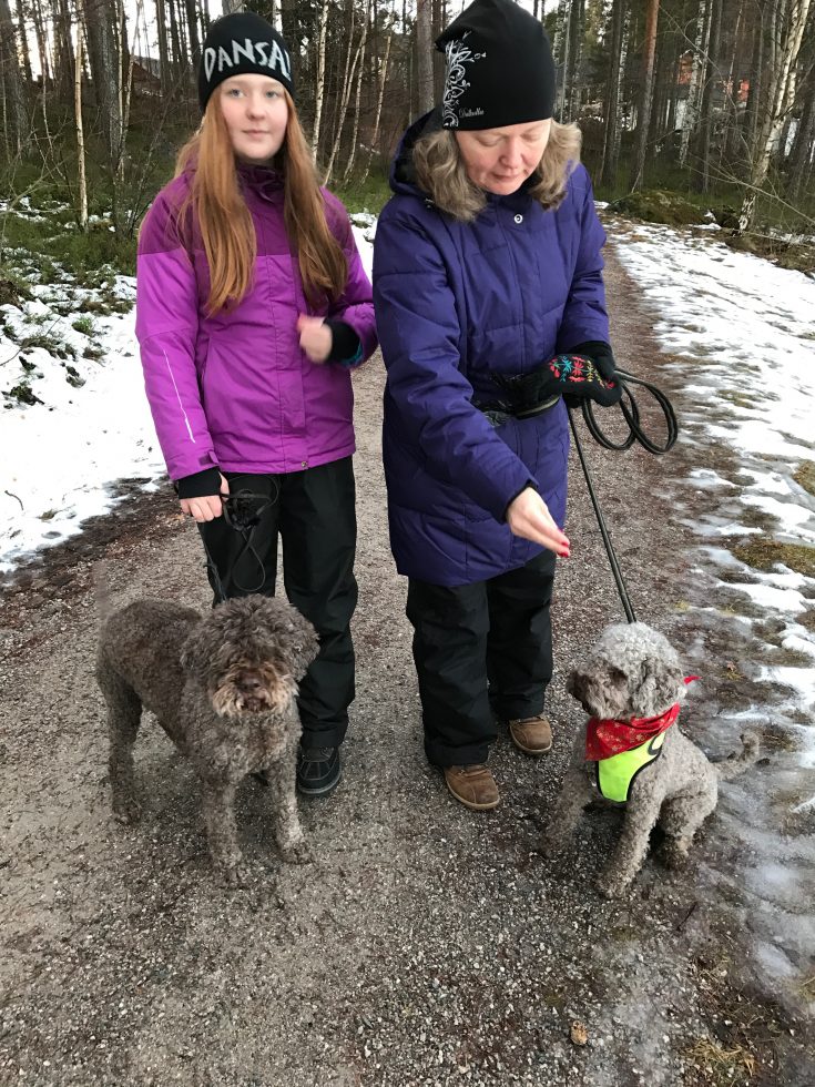 Lucca och lånehunden Tessie på promenad.