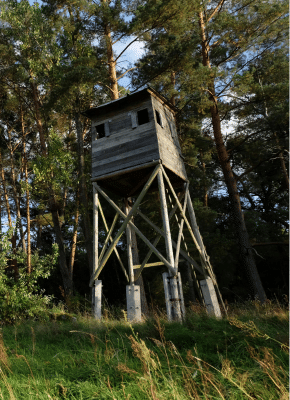 Jagttårn i dansk skov ved DJ-jagtprøve