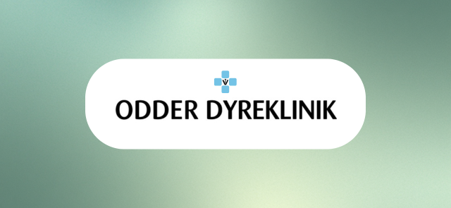 Odder Dyreklinik bruger Fauna til digital sundhedsdokumentation