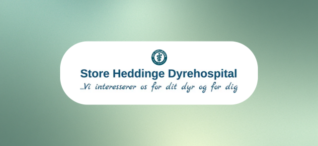 Store Heddinge Dyrehospital bruger Fauna til digital dokumentation