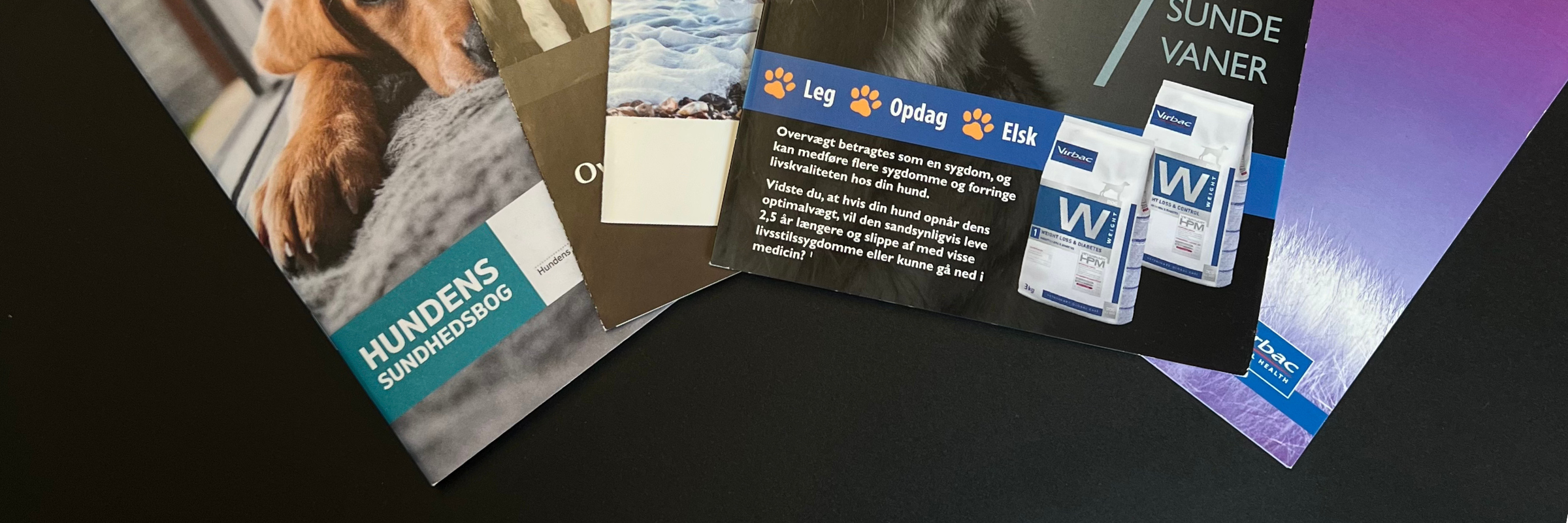 Kæledyrsejer med overblik over hunds sundhedshistorik