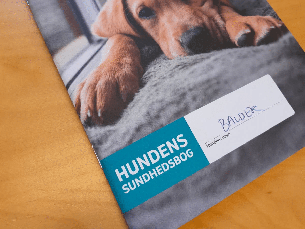 Fysisk sundhedsbog til hund erstattet af digital løsning hos Store Heddinge Dyrehospital
