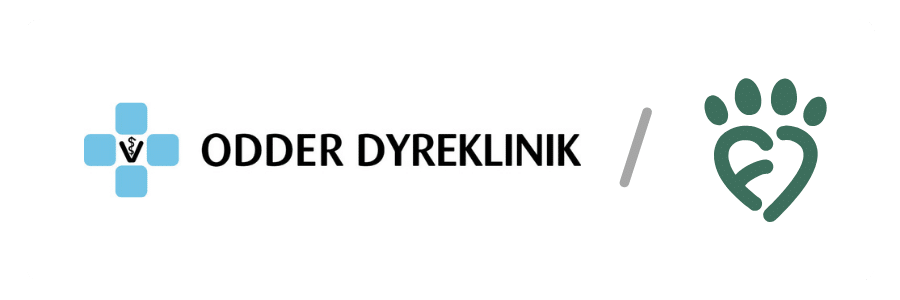 Samarbejde mellem Odder Dyreklinik og Fauna