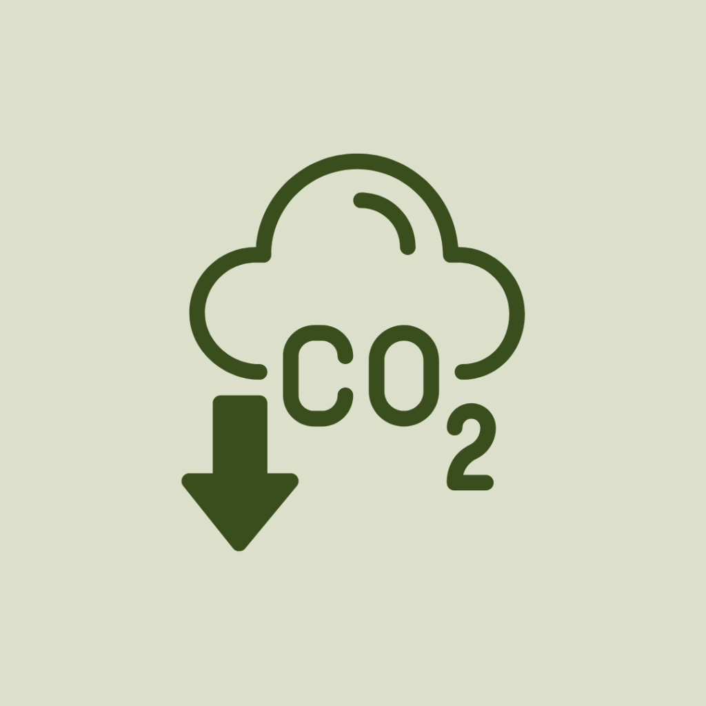 Bæredygtighed- CO2