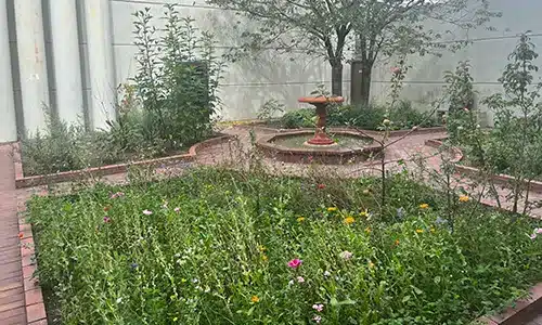 Bede med forskellige temaer f.eks. vilde blomster