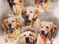 Goldens-Farbstift-Aquarell